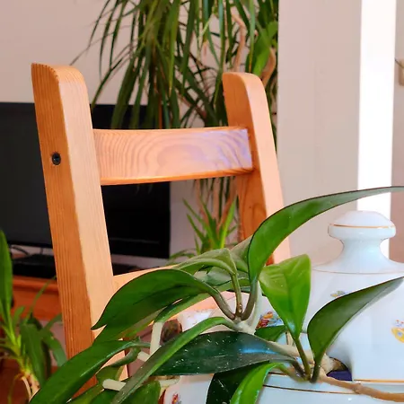 Апартаменты Schnorri