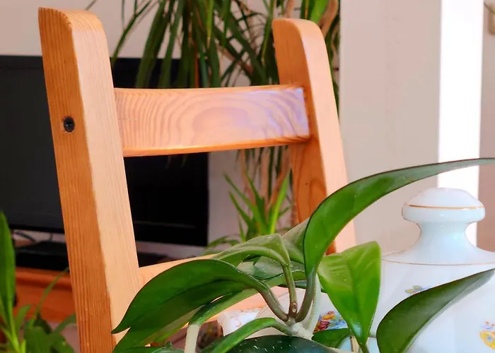 Appartement Schnorri